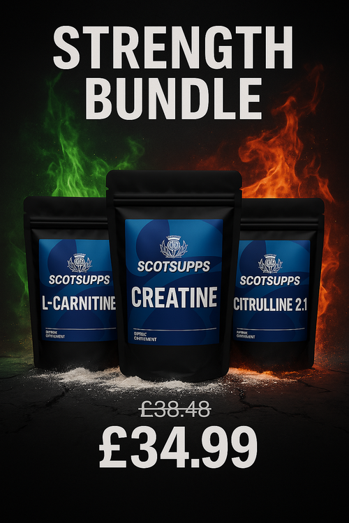 Bodybuilding Blow Up Bundle